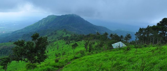kodikuthimala view point