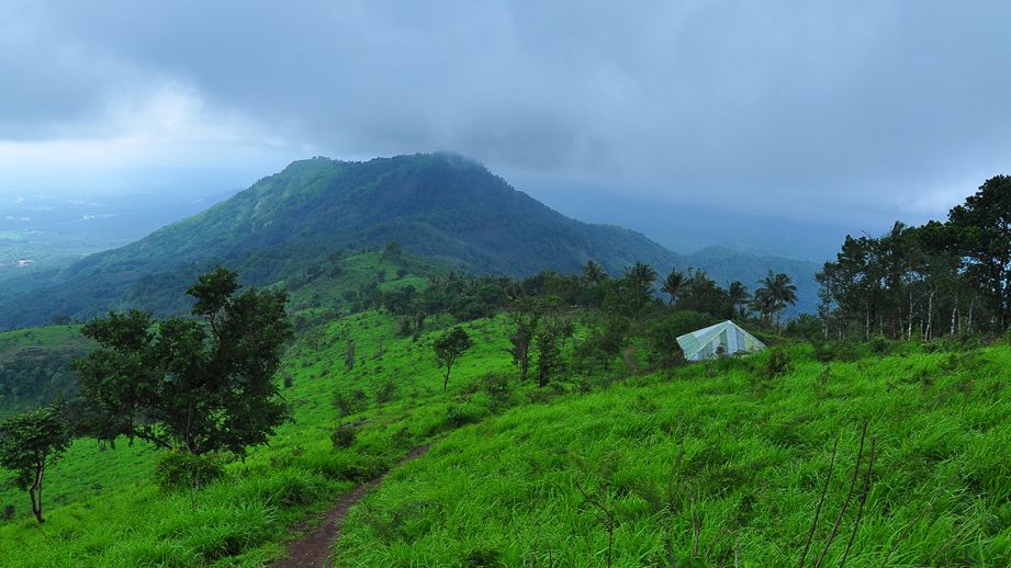 kodikuthimala view point