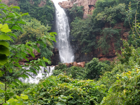 lankamalla reserved forest