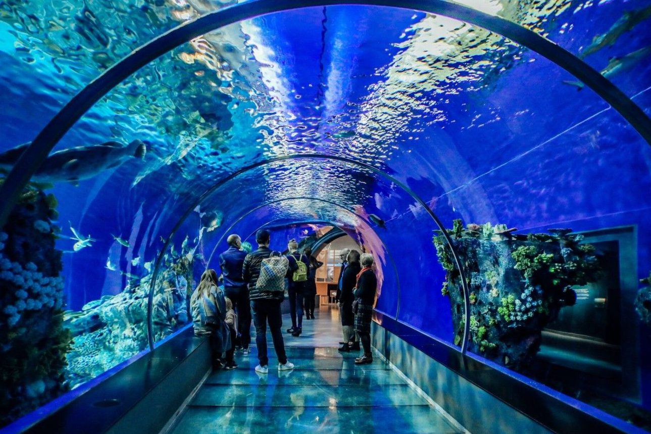 lokaranjan aqua world underwater zoo