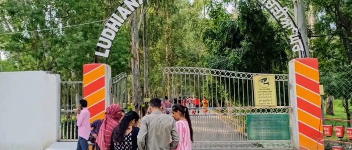 ludhiana zoo