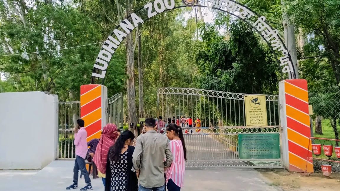 ludhiana zoo