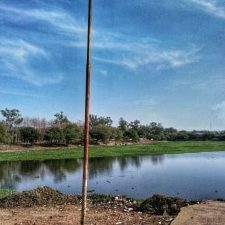 madar chilla tedi neem jabalpur mp