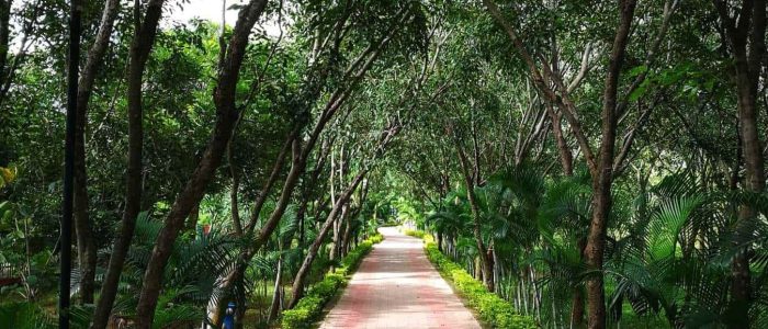 madhusudan das park 1