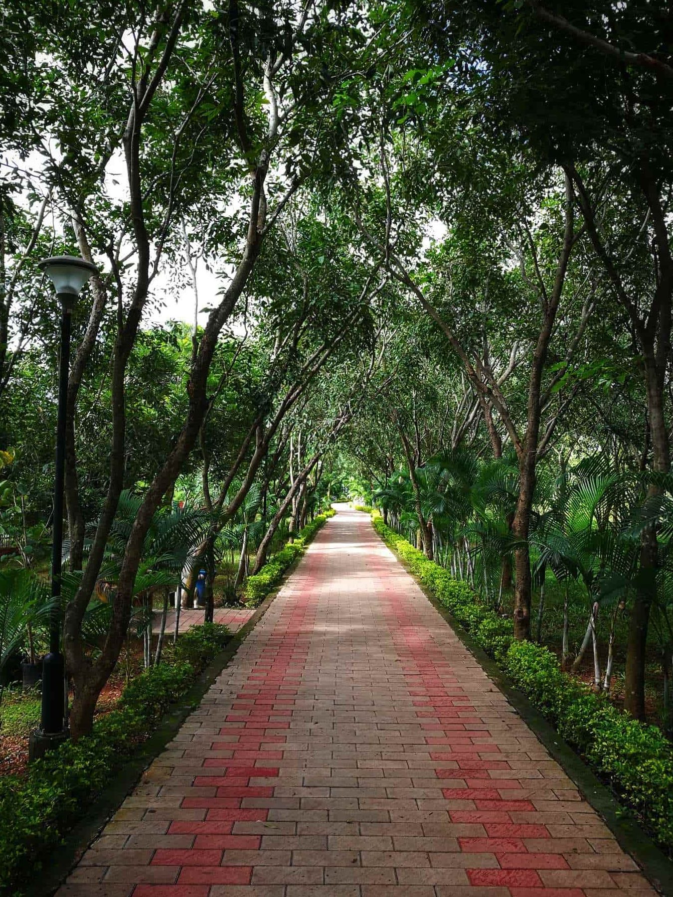 madhusudan das park 1