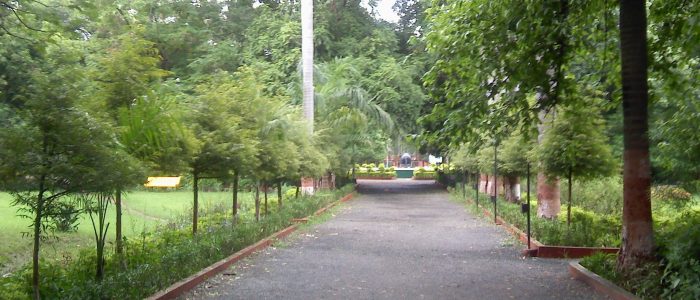 maharaj bagh zoo