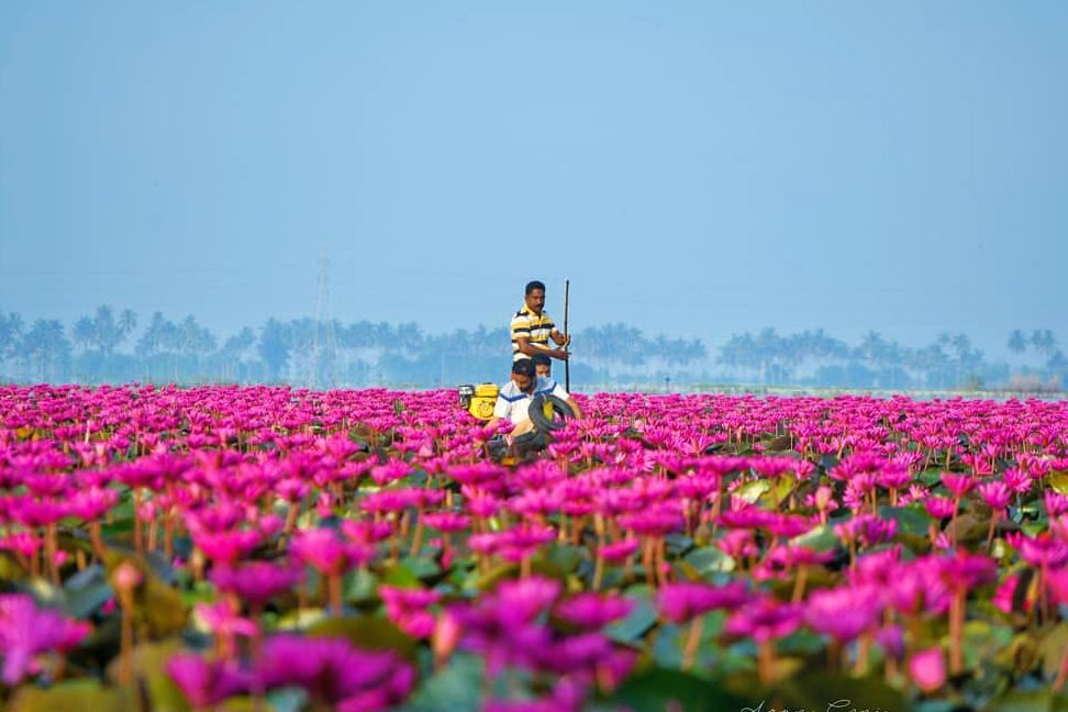malarikkal tourism
