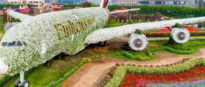 miracle garden