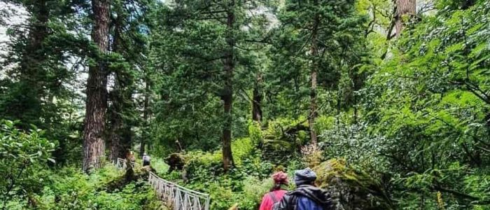 mountreks dil hai pahadi