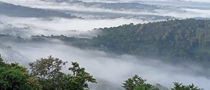 nadukani view point kayyoor