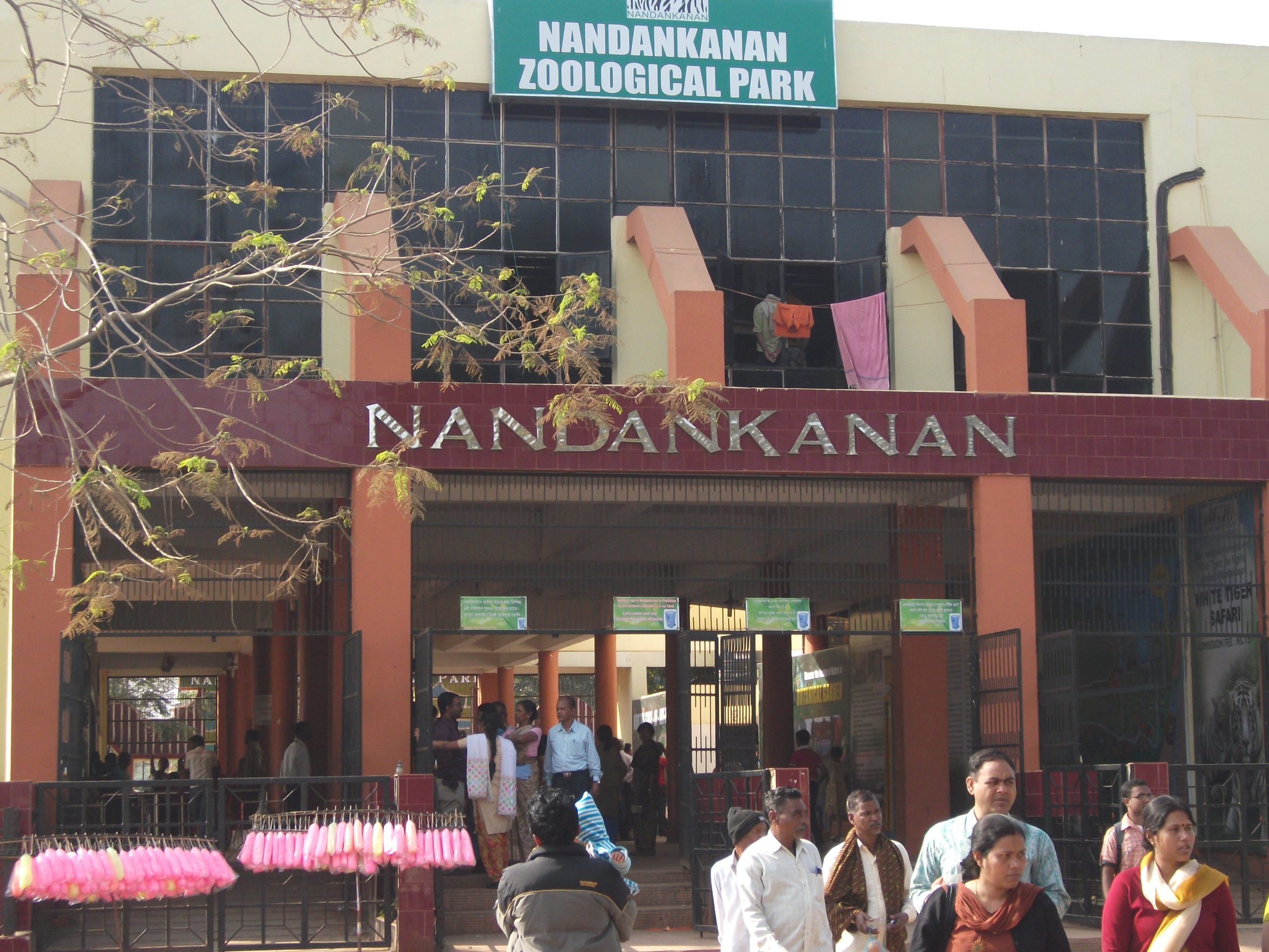 nandankanan zoological park scaled