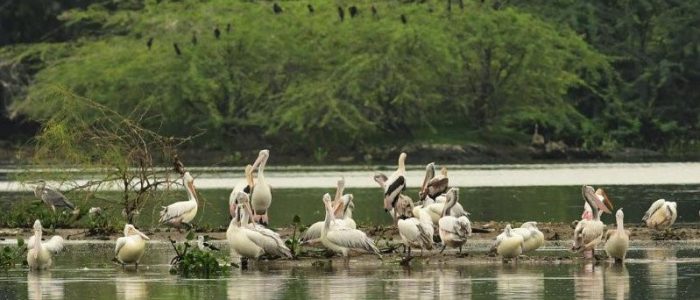 nanjarayan lake main view point