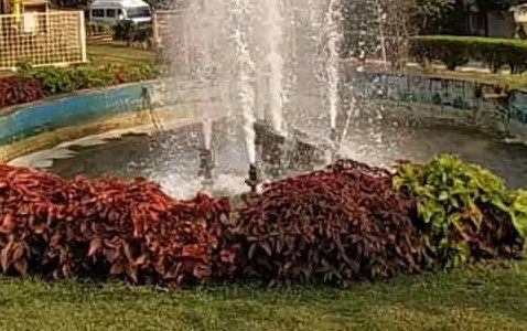 narayanagiri gardens