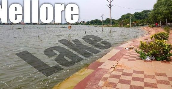 nellore tankcheruvu 1