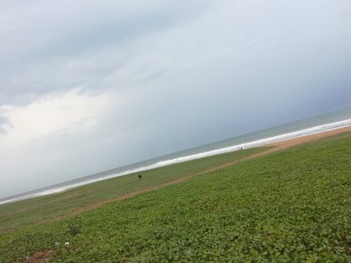 palavakkam beach