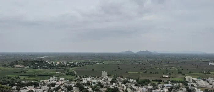 pedda palakaluru