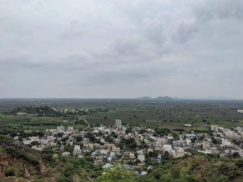 pedda palakaluru