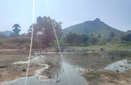 perecherla reserve forest guntur city