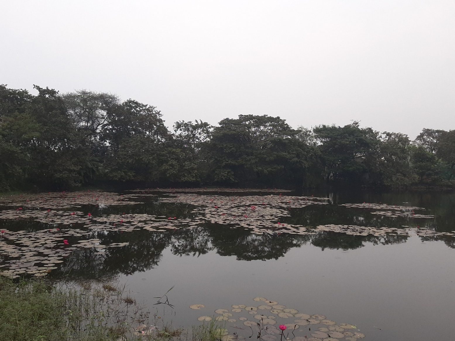 pimpalas lake 1