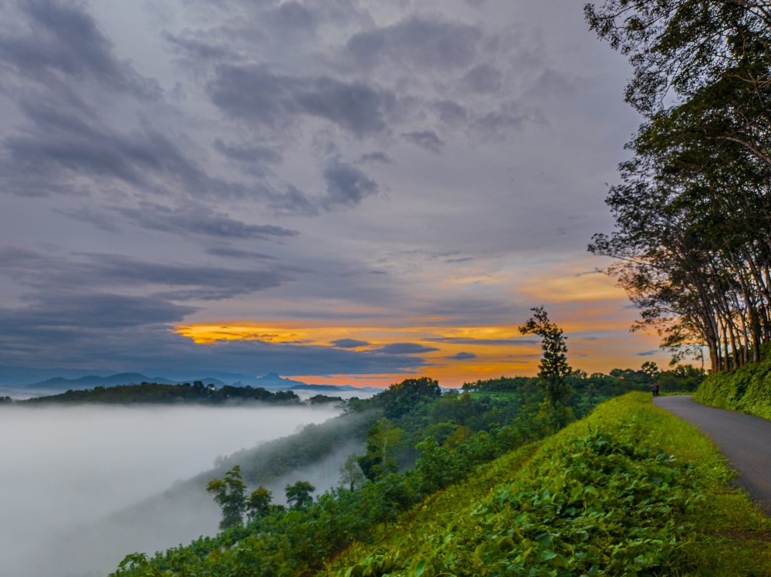 pinnacle view point chettukuzhy