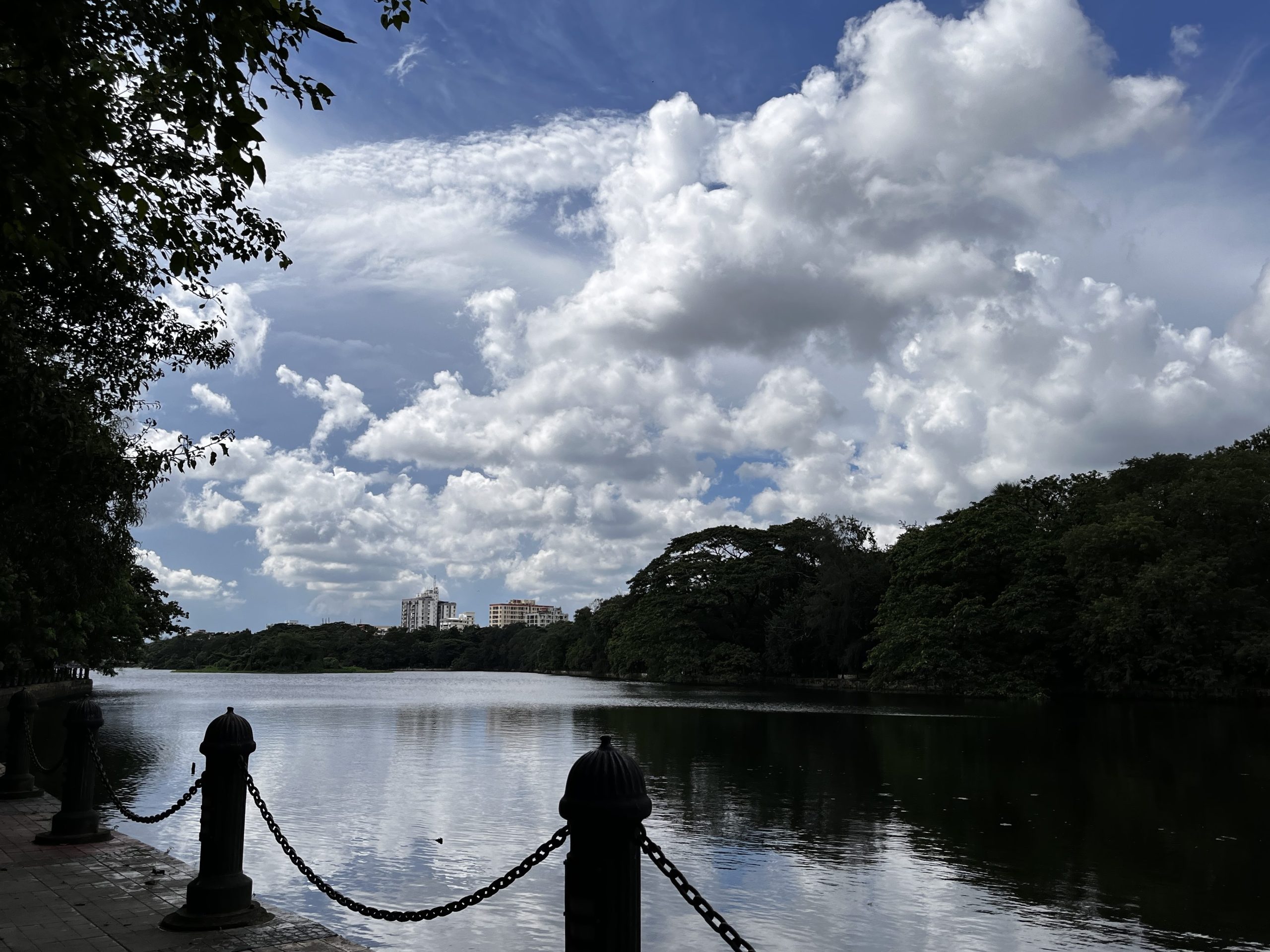 rabindra sarobar lake scaled