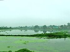 raja talab