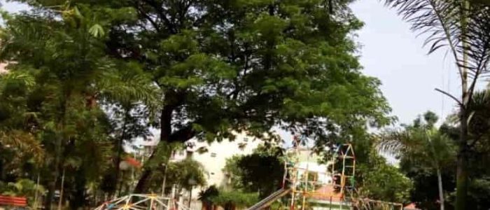 rajanna municipal park