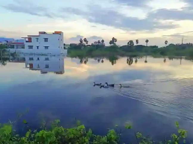 reddiyur lake