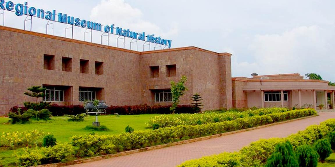 regional museum of natural history 1