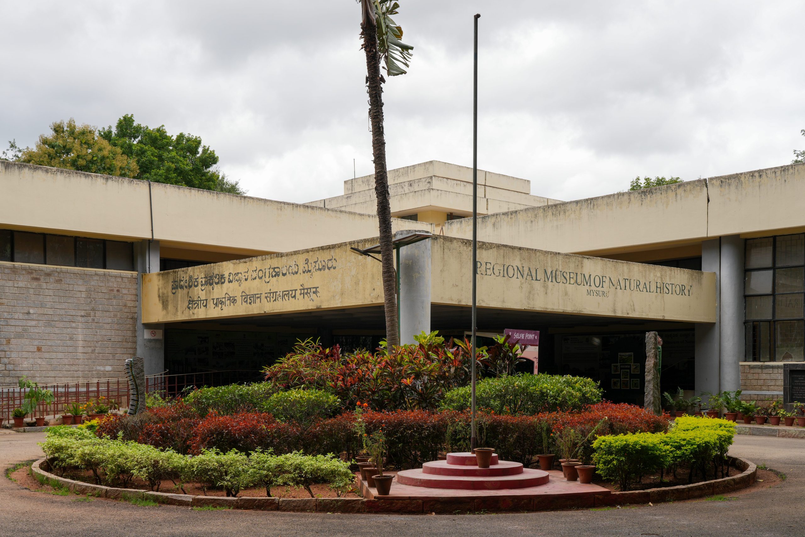 regional museum of natural history mysuru scaled