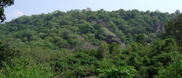 reserve forest of india