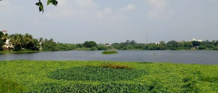 salim ali park aurangabad 1