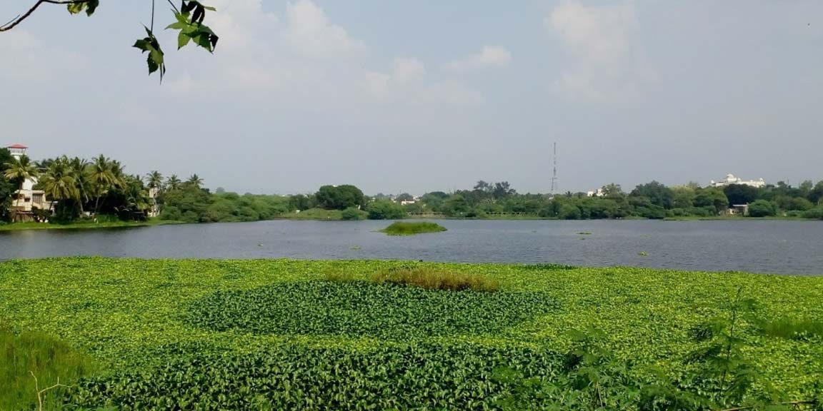 salim ali park aurangabad 1