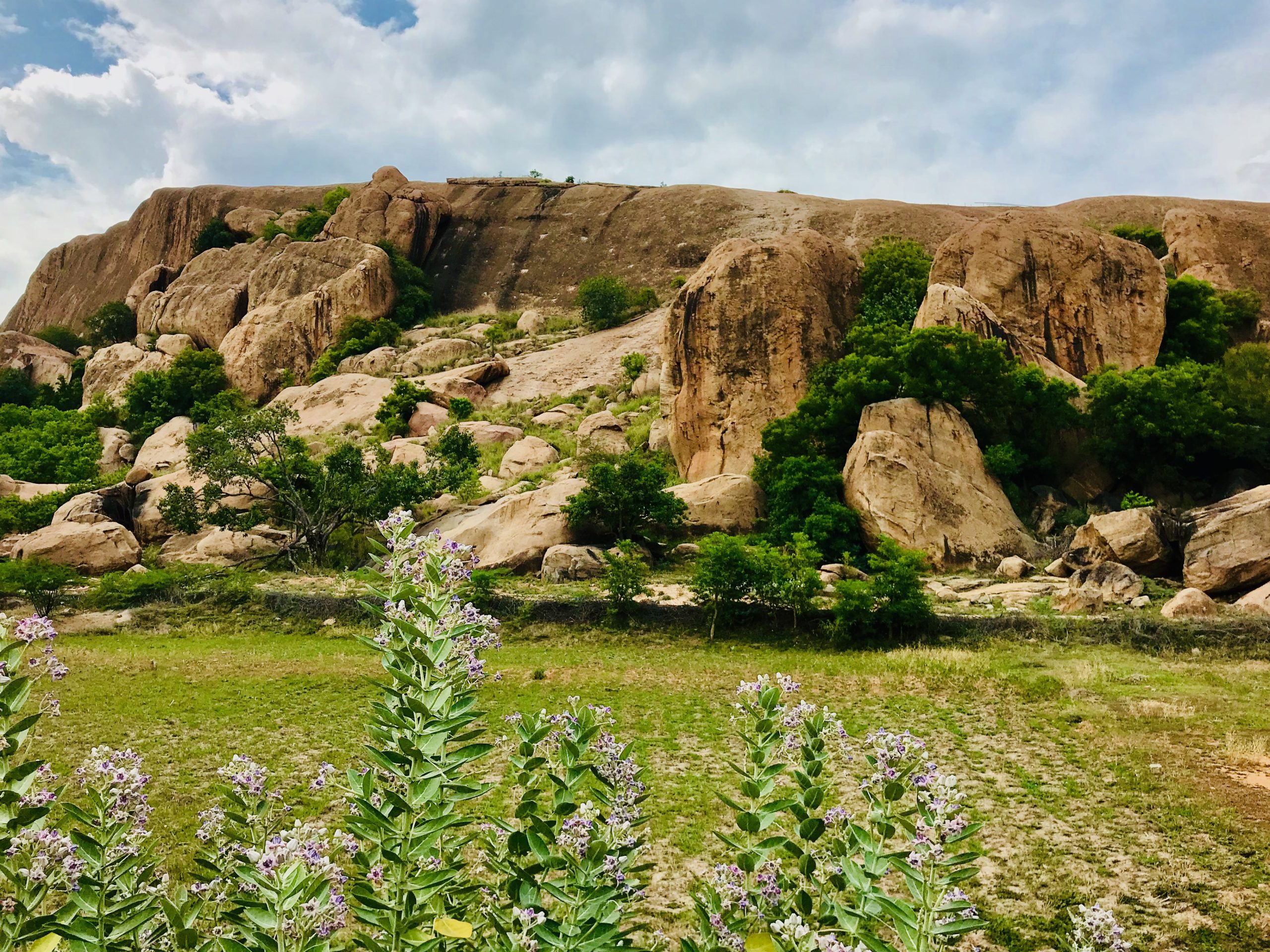 samanar hill keelakuyilkudi 1 scaled