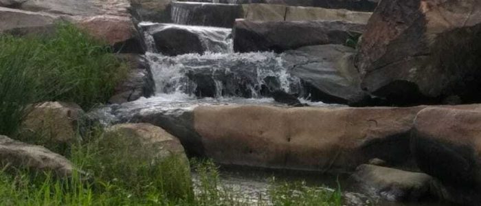 sarna fall