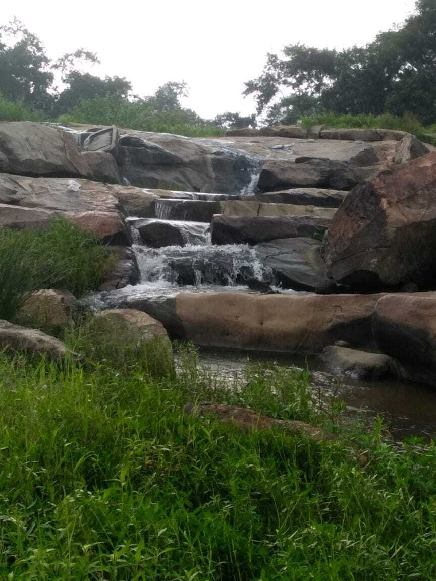 sarna fall