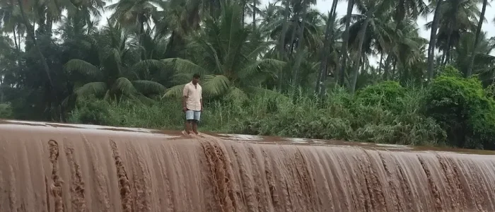 sengal anaidam