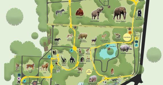 sri chamarajendra zoological gardens mysuru zoo