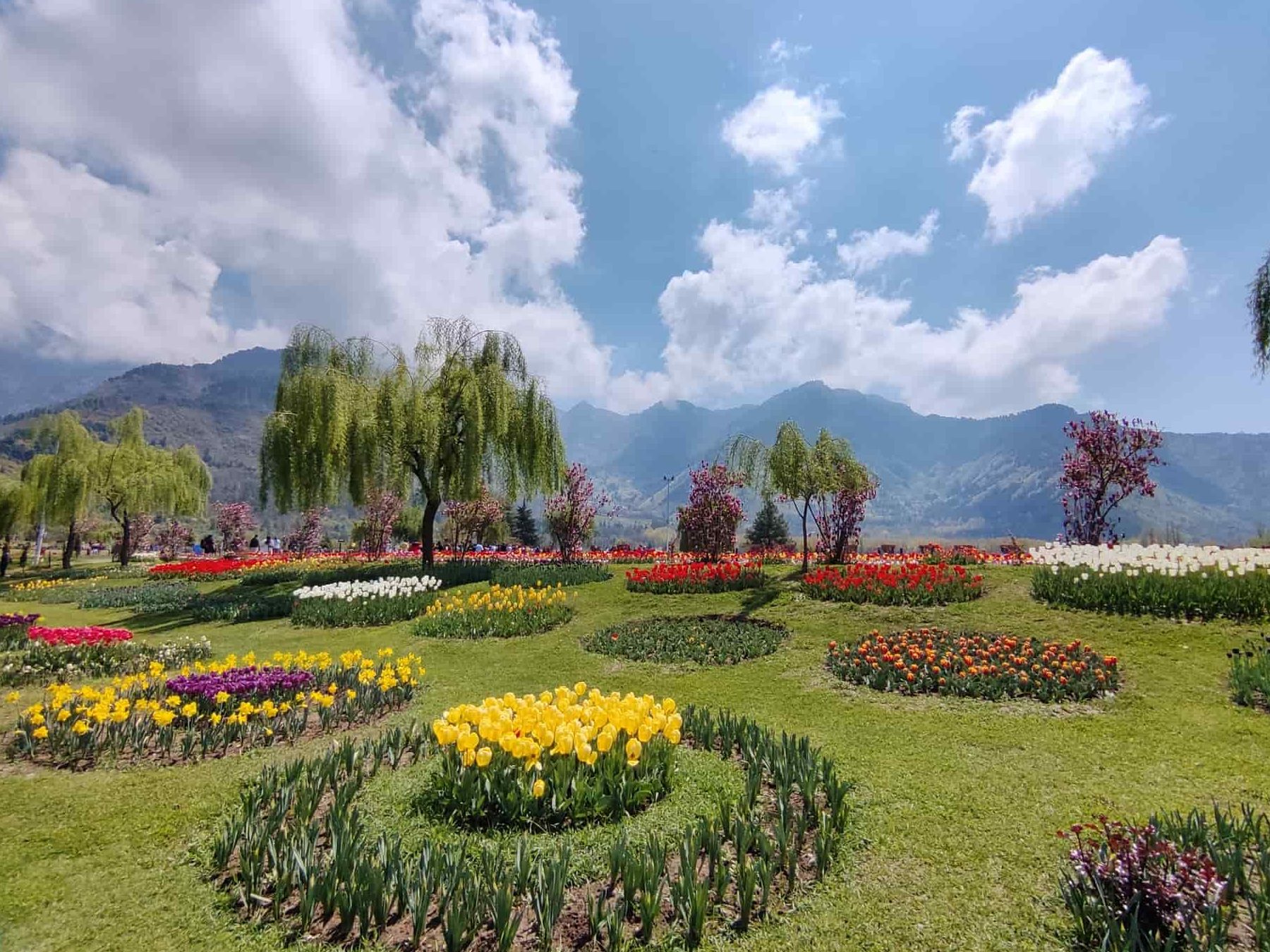 srinagar park