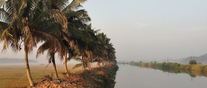 sunset view point nedupuzha