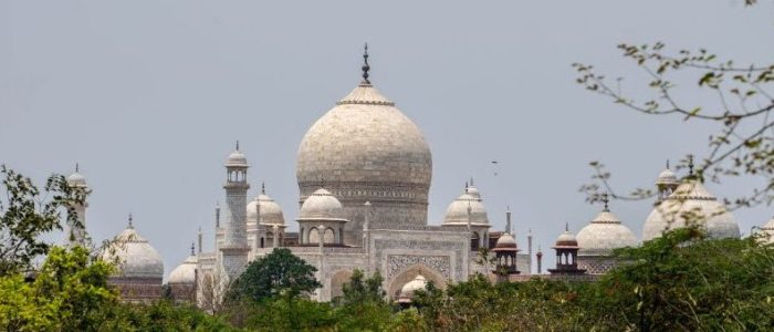 taj protected forest
