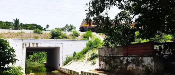 thalap irattakkannan palam