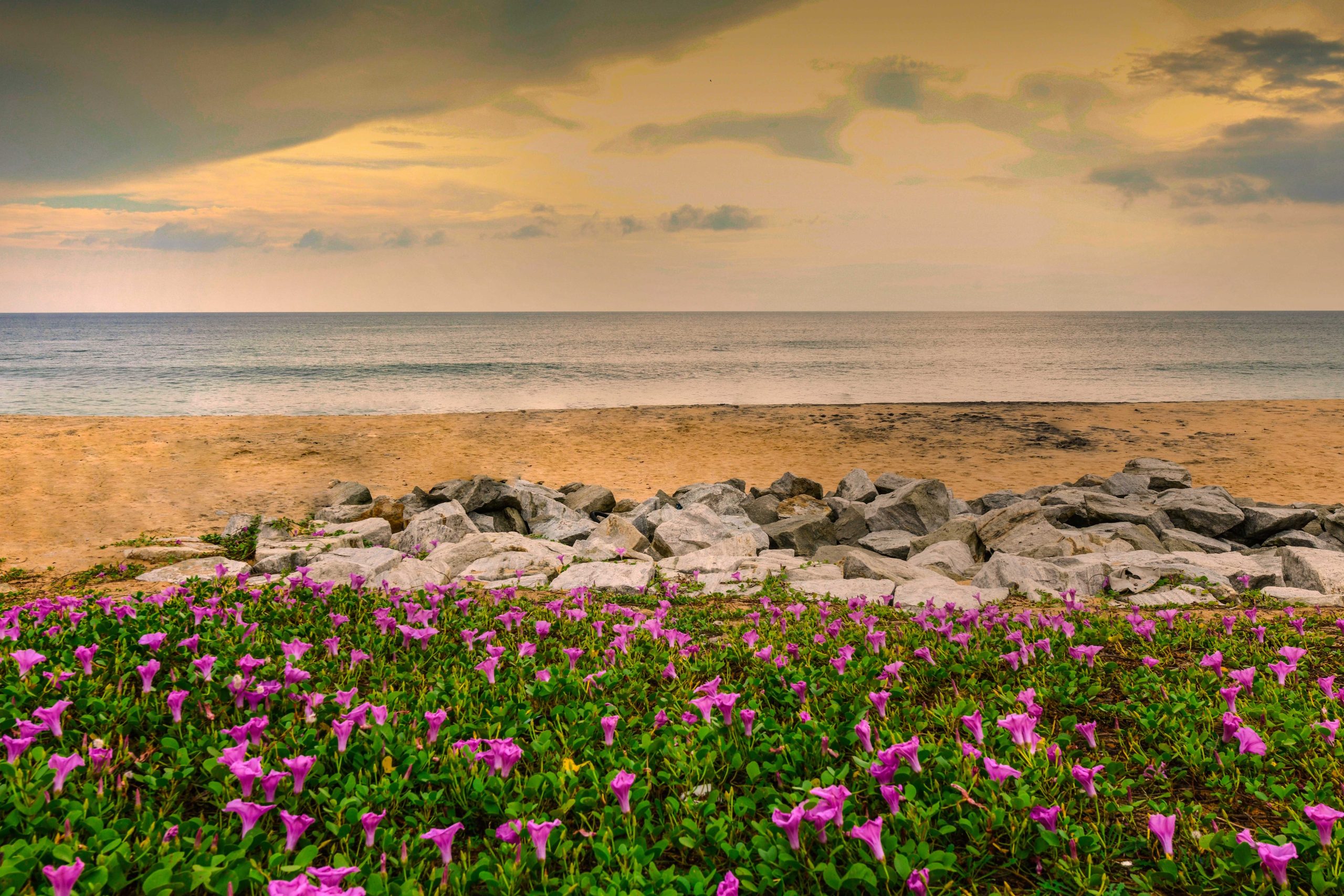 thanni beach 1 scaled