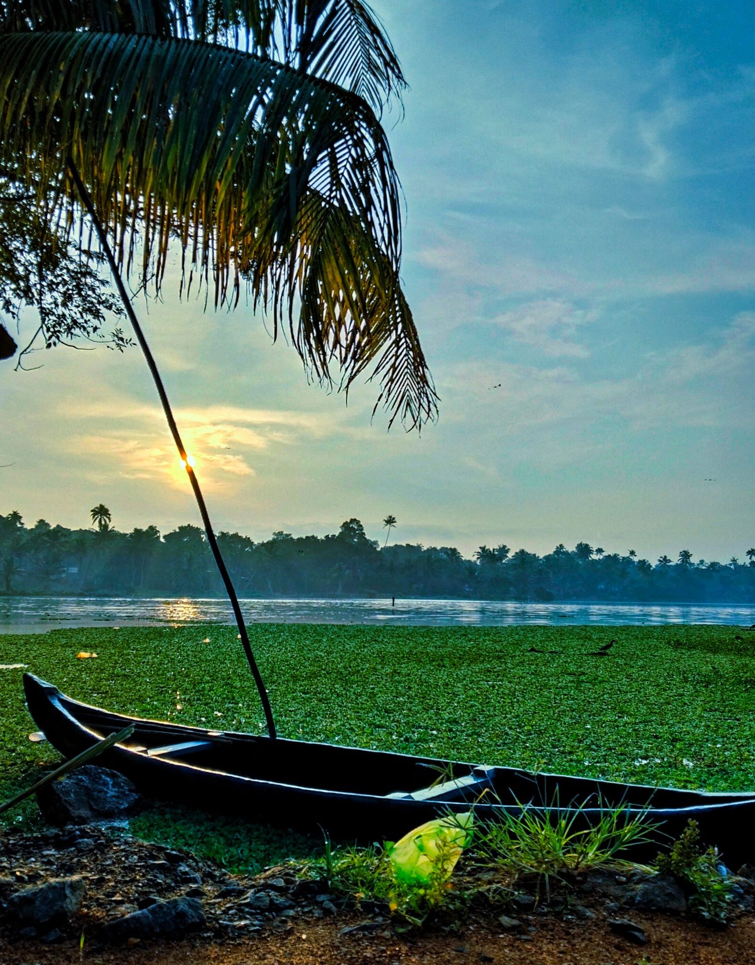 the best attractions in cherthala