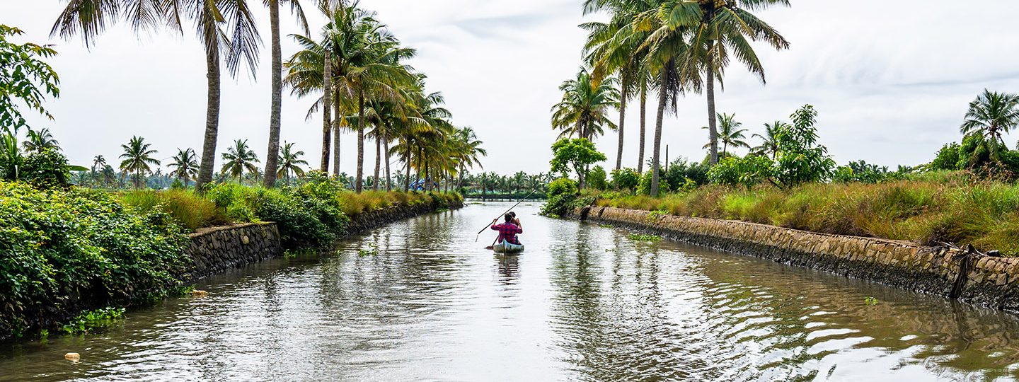 the living islands of kadamakudy
