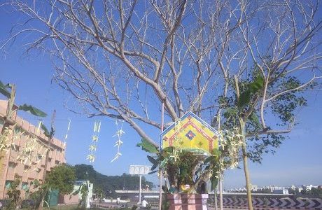 theppakulam viraganoor road 1