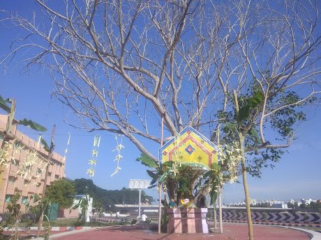 theppakulam viraganoor road 1