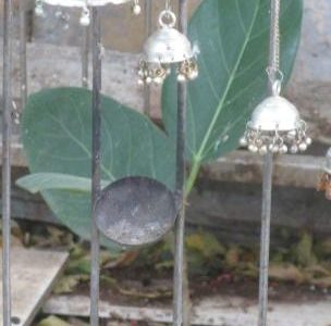 three leaf banyan tree 1