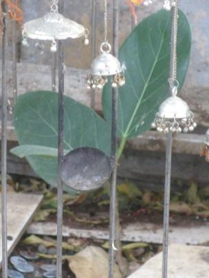 three leaf banyan tree 1