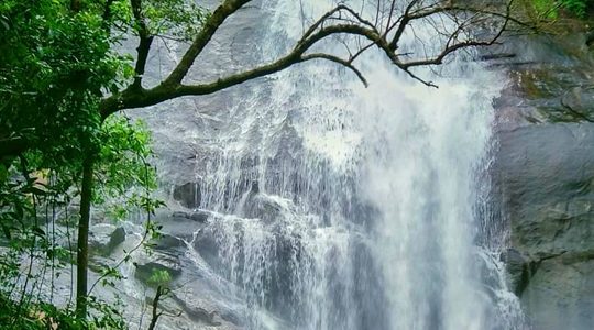 thusharagiri waterfall